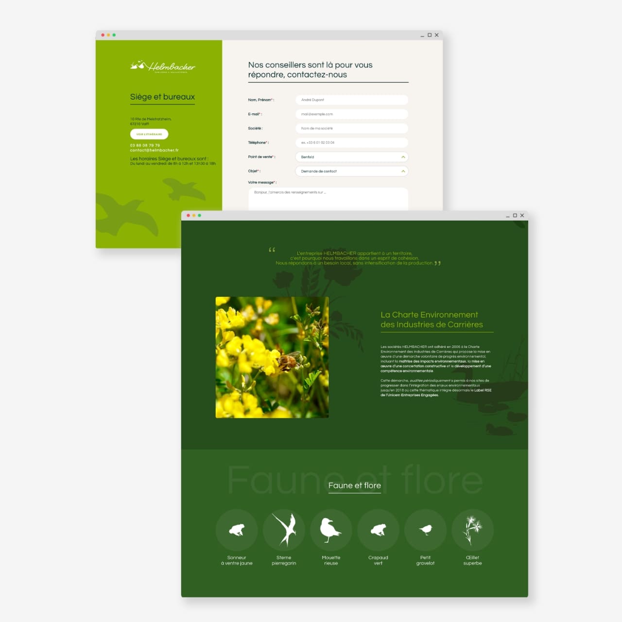 Présentation des pages du site Helmbacher - Agence Lucyan Présentation des pages du site Helmbacher - Agence Lucyan